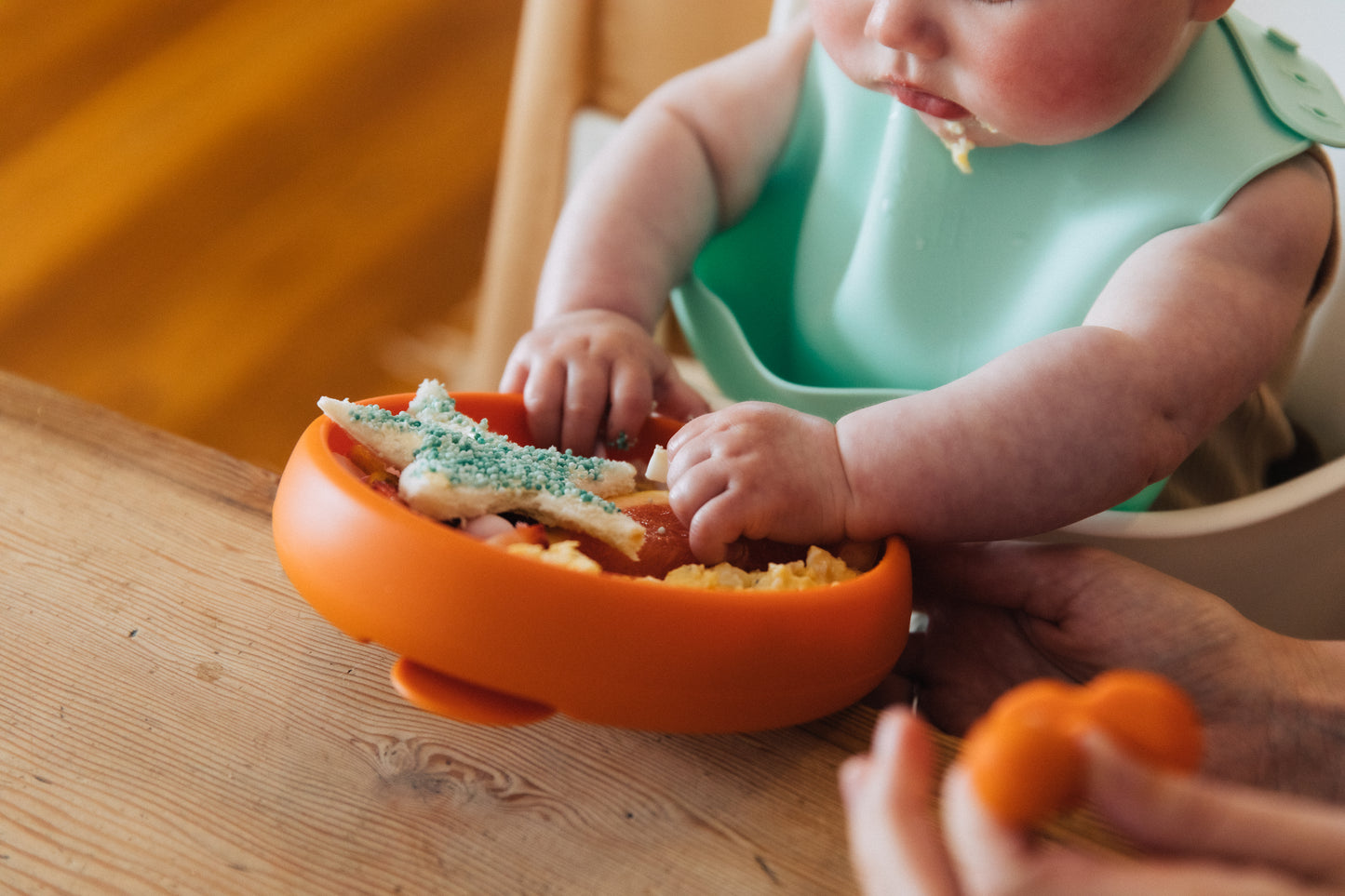Super Scooper Shallow Suction Dish