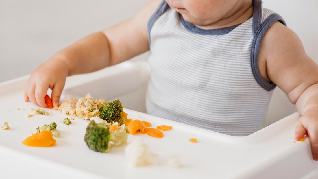 Starting Solids: What to Do When Your Baby Refuses Purées